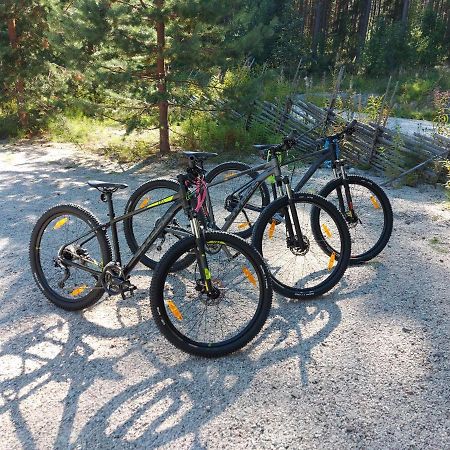 Aalto Koli Villa Kolinkylä Buitenkant foto