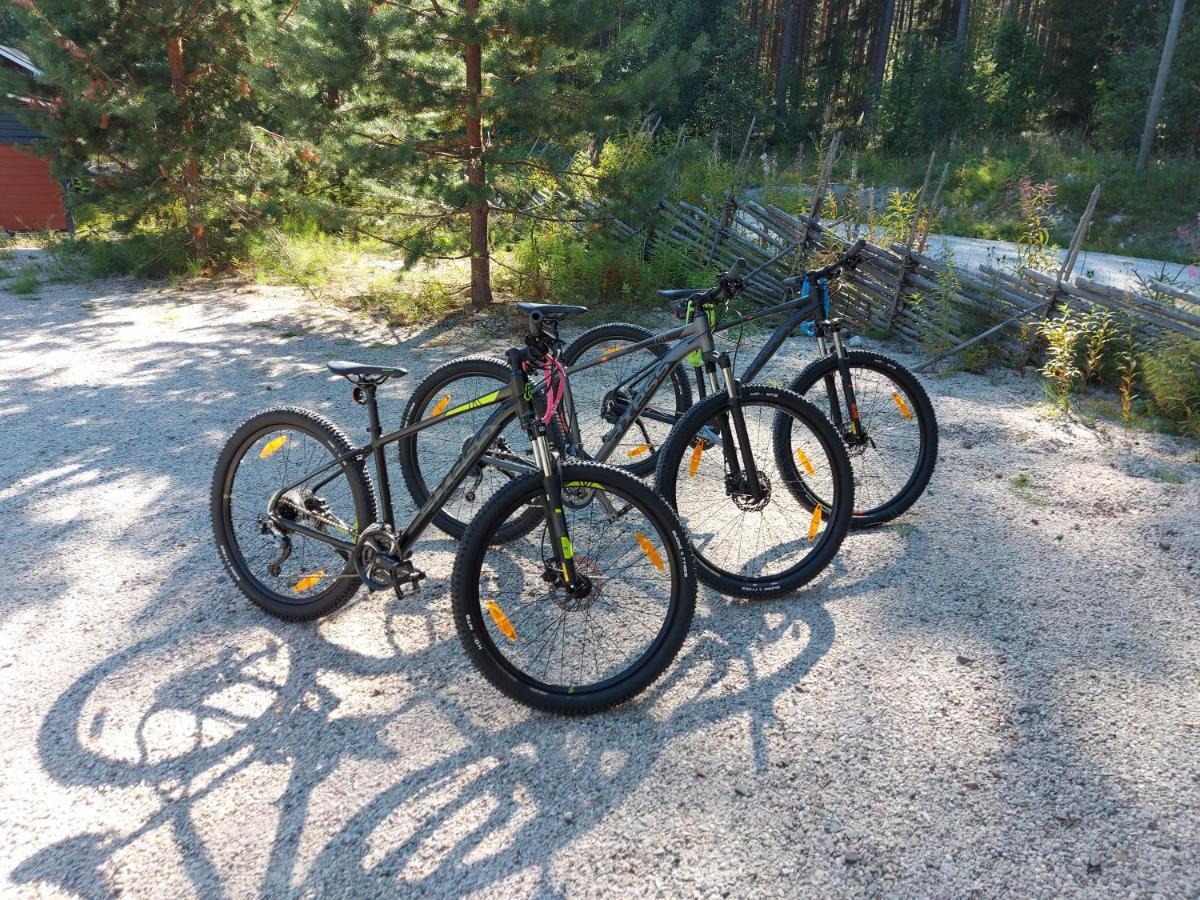 Aalto Koli Villa Kolinkylä Buitenkant foto